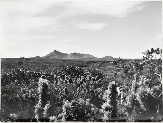 West Mount Barren, Australia.