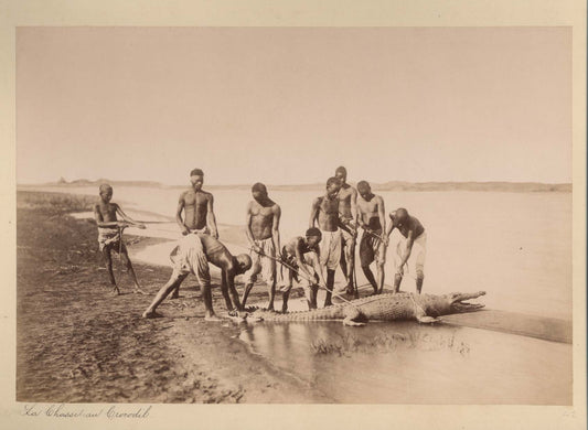 La Chasse au Crocodil. [Crocodile Hunting].