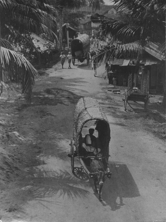 Street Life in Ceylon.