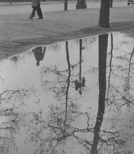 Reflections (On the Mall).