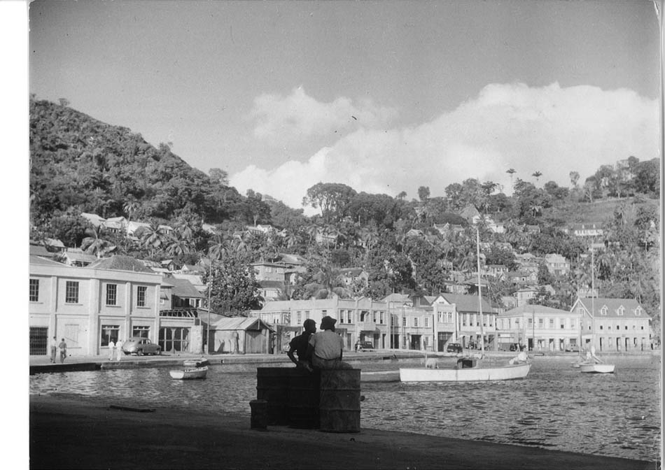 A view of St Georges from the Carenage, Grenada.