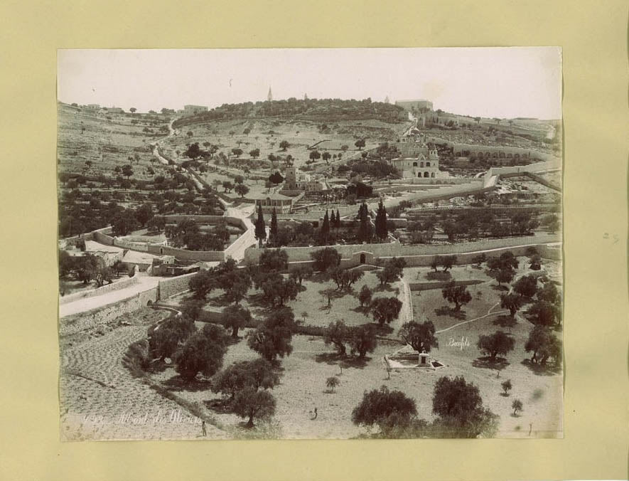 [The Mount of Olives].