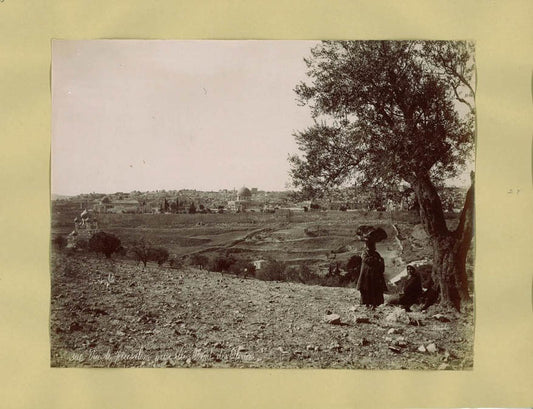 [View of Jerusalem from the Mount of Olives].