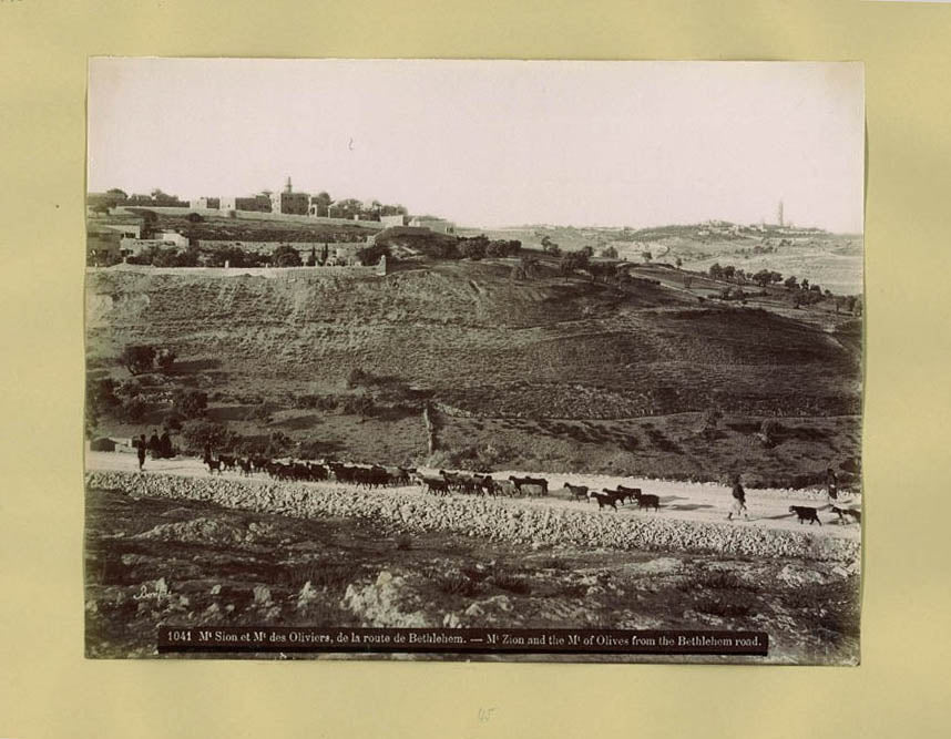 A clear photograph featuring the Mount of Olives and Mount Zion. 