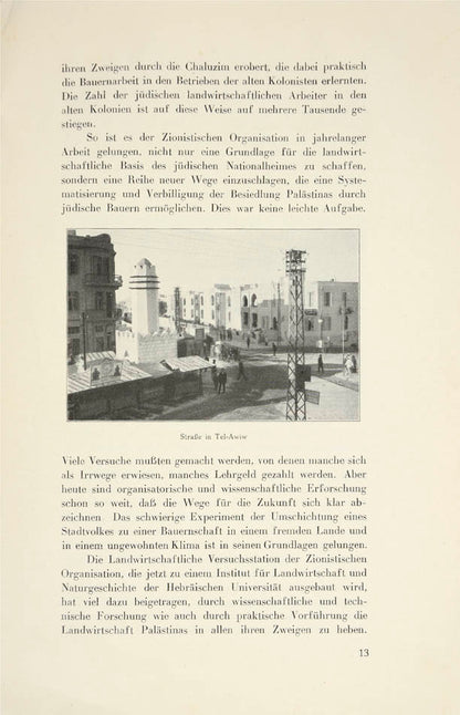 First edition of this illustrated report on the progress made by settlers in Palestine, published by the Executive of the World Zionist Organisation.