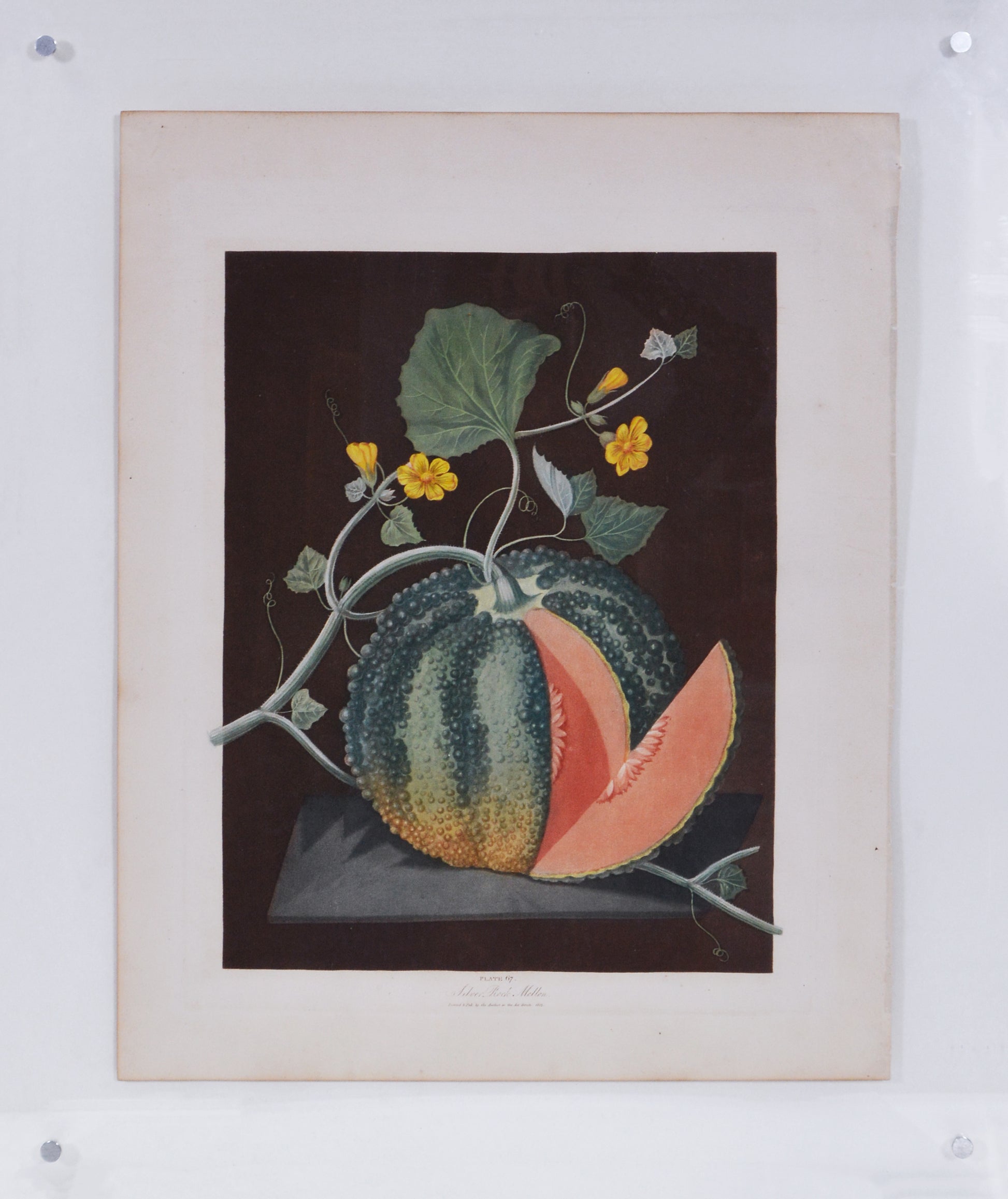 For Brookshaw's most famous work "Pomona Britannica" or a "Collection of the Most Esteemed Fruits at Present Cultivated in this Country
