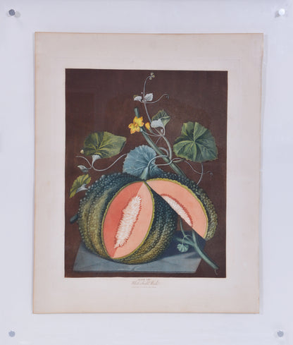 For Brookshaw's most famous work "Pomona Britannica" or a "Collection of the Most Esteemed Fruits at Present Cultivated in this Country