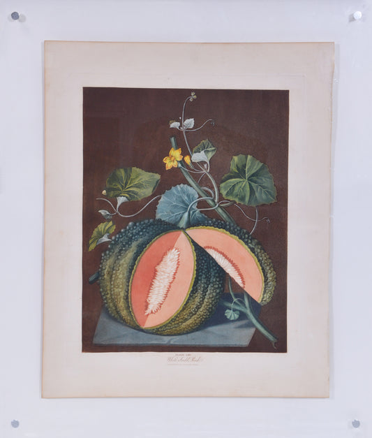 For Brookshaw's most famous work "Pomona Britannica" or a "Collection of the Most Esteemed Fruits at Present Cultivated in this Country