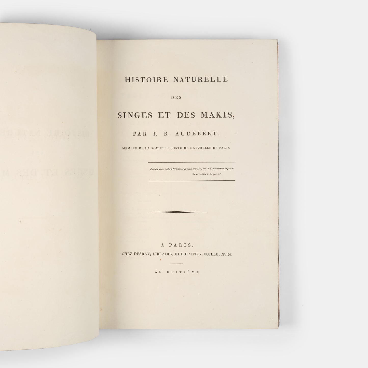 A fine large paper copy in a handsome Bozerian binding, of the earliest illustrated monograph on monkeys and Audebert's first original work. 