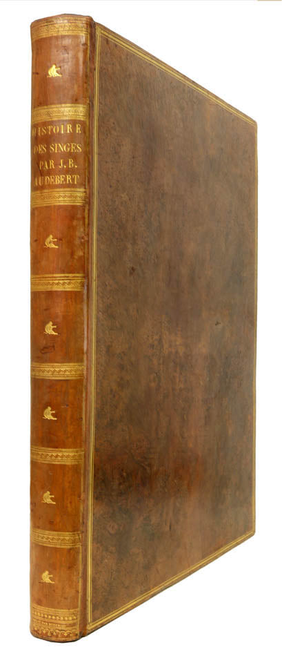 A fine large paper copy in a handsome Bozerian binding, of the earliest illustrated monograph on monkeys and Audebert's first original work. 