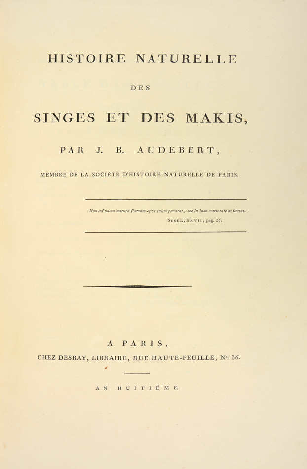 A fine large paper copy in a handsome Bozerian binding, of the earliest illustrated monograph on monkeys and Audebert's first original work. 