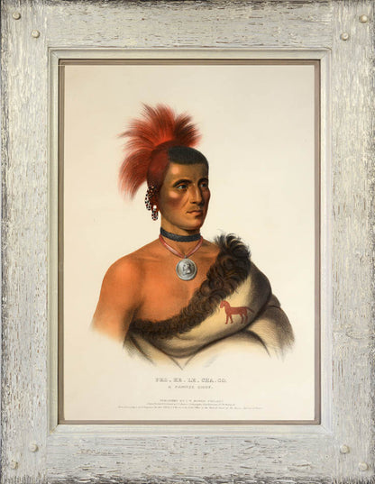 Original hand-coloured lithographed plates from History of the Indian Tribes of North America. Framed and glazed.