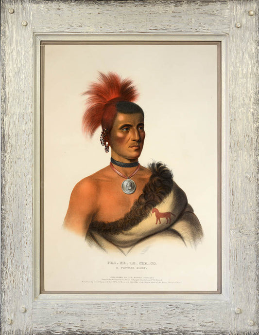 Original hand-coloured lithographed plates from History of the Indian Tribes of North America. Framed and glazed.