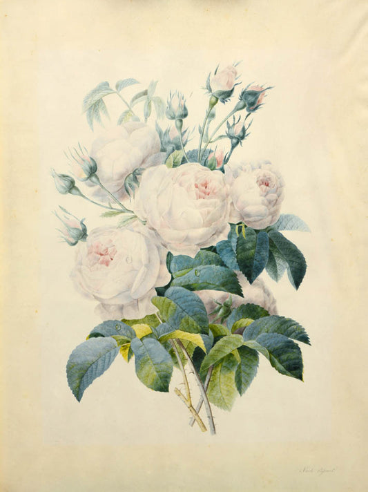 <strong>A lovely example of 19th century flower painting in fine condition.<br /></strong>