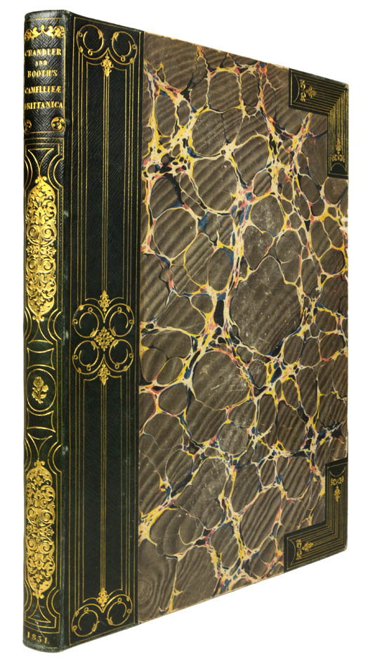 magnificent plates after the drawings of Alfred Chandler beautifully coloured with opaque pigments coloured and highly finished with gum arabic