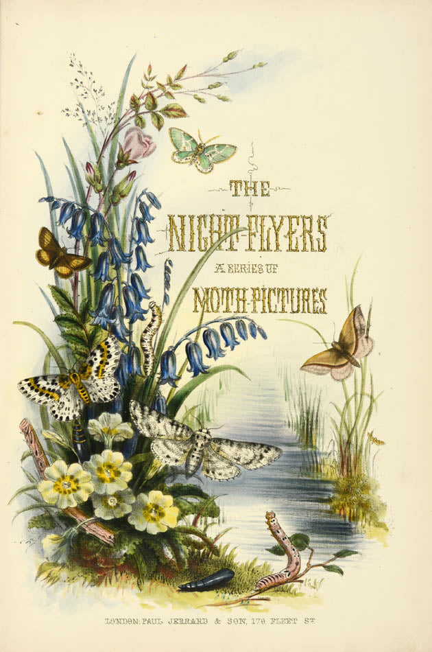 "A scarce treasure for the collector", with hand-coloured lithographic plates of moths in a contemporary gilt-morocco binding.  