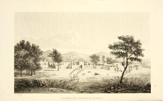 Gray's expedition followed the disastrous missions of Peddie and Campbell; Gray was scarcely more successful, being captured by the Fulani of Futa-Toro.