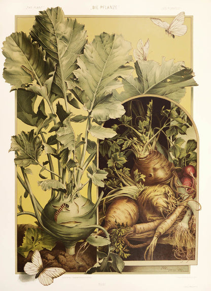 Important art nouveau work incorporating plants into decorative motifs. 3 colour titles and 196 lithograph plates, 113 in colour. Original binding.