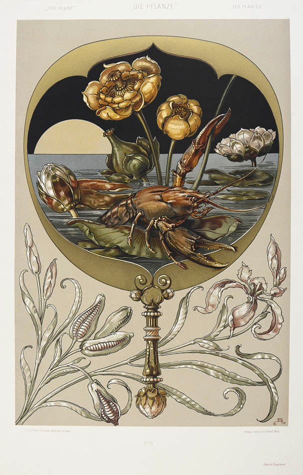 Important art nouveau work incorporating plants into decorative motifs. 3 colour titles and 196 lithograph plates, 113 in colour. Original binding.