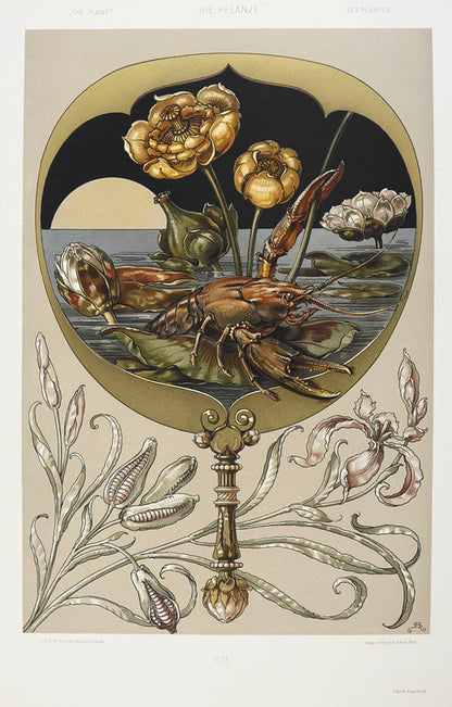 Important art nouveau work incorporating plants into decorative motifs. 3 colour titles and 196 lithograph plates, 113 in colour. Original binding.