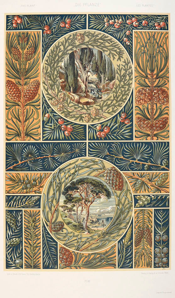 Important art nouveau work incorporating plants into decorative motifs. 3 colour titles and 196 lithograph plates, 113 in colour. Original binding.