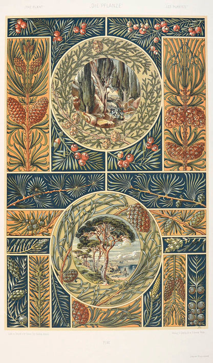 Important art nouveau work incorporating plants into decorative motifs. 3 colour titles and 196 lithograph plates, 113 in colour. Original binding.