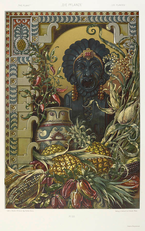 Important art nouveau work incorporating plants into decorative motifs. 3 colour titles and 196 lithograph plates, 113 in colour. Original binding.