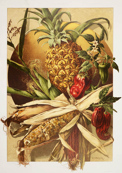 Important art nouveau work incorporating plants into decorative motifs. 3 colour titles and 196 lithograph plates, 113 in colour. Original binding.