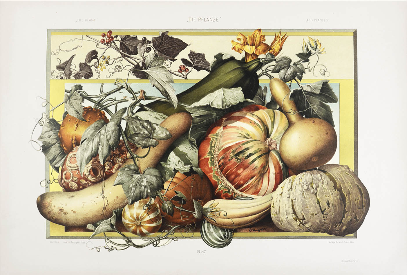 Important art nouveau work incorporating plants into decorative motifs. 3 colour titles and 196 lithograph plates, 113 in colour. Original binding.