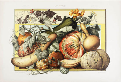 Important art nouveau work incorporating plants into decorative motifs. 3 colour titles and 196 lithograph plates, 113 in colour. Original binding.