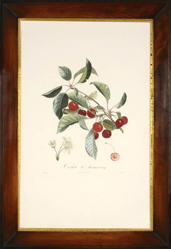 A set of four stipple-engraved plates printed in colours and finished by hand. 