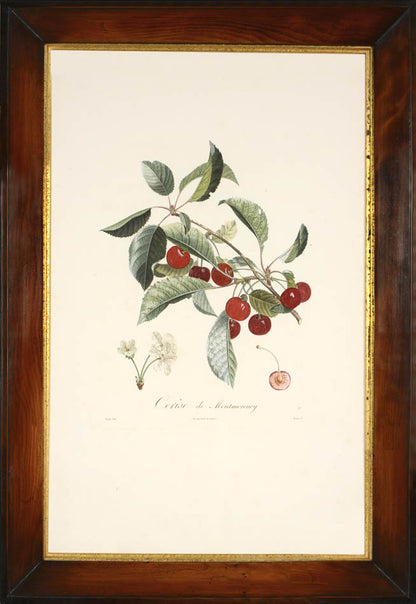 A set of four stipple-engraved plates printed in colours and finished by hand. 