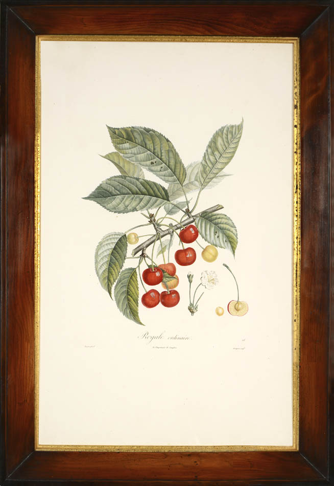 A set of four stipple-engraved plates printed in colours and finished by hand.