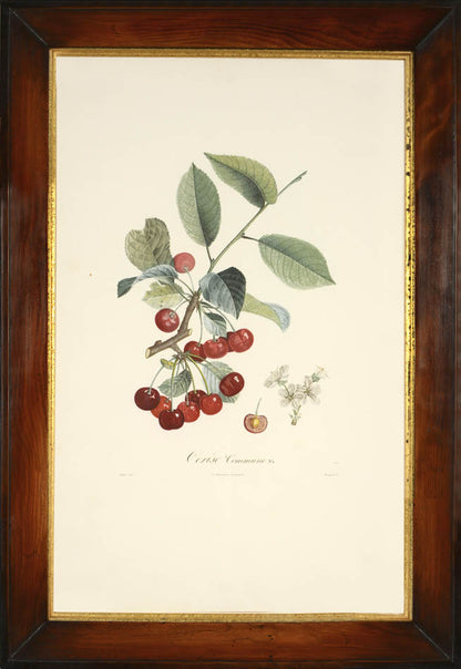 A set of four stipple-engraved plates printed in colours and finished by hand.