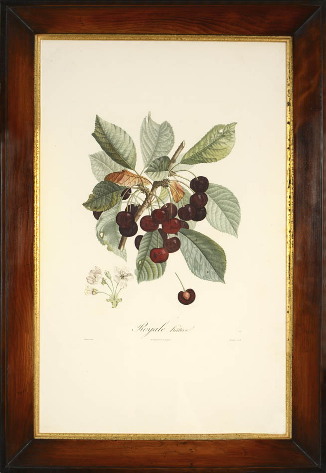 A set of four stipple-engraved plates printed in colours and finished by hand.