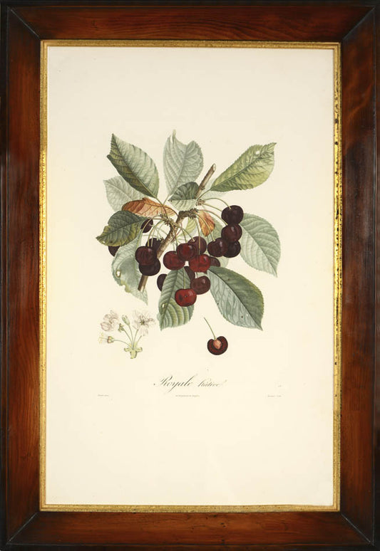 A set of four stipple-engraved plates printed in colours and finished by hand. 