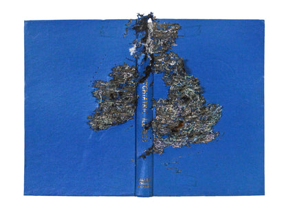 punched photographic plate and book