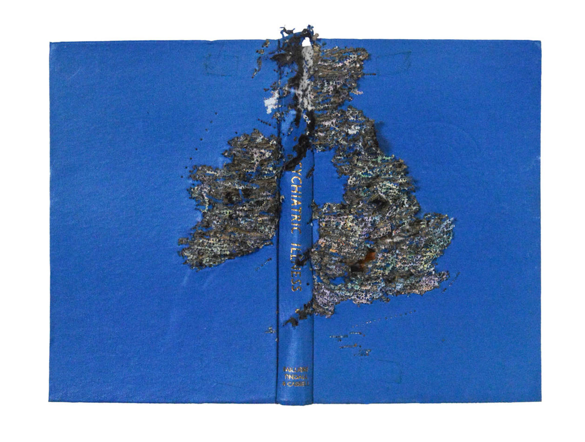 punched photographic plate and book