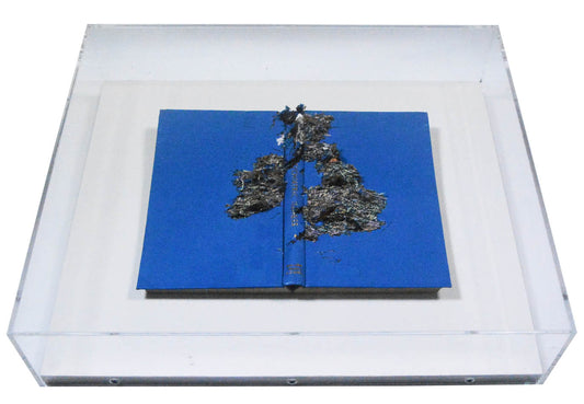 punched photographic plate and book