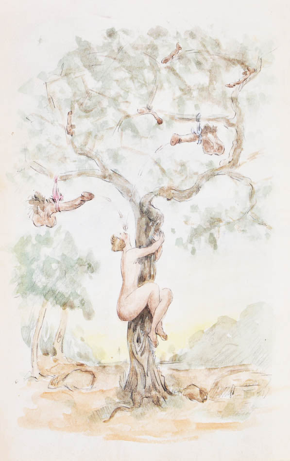 Album with 23 partly hand-coloured erotic drawings. Richly gilt binding. 