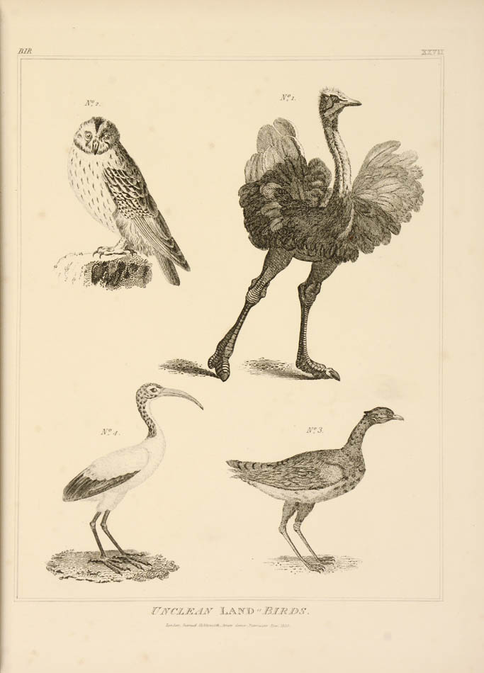 Calmet's Dictionary of the Holy Bible, translated into English, with commentary and illustrations by the engraver and biblical scholar Charles Taylor.