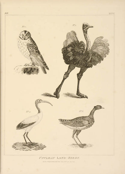 Calmet's Dictionary of the Holy Bible, translated into English, with commentary and illustrations by the engraver and biblical scholar Charles Taylor.