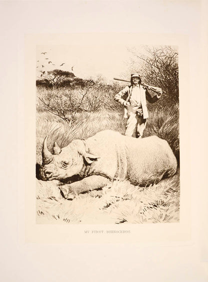 One of the rarest of big-game books and certainly one of the most luxuriously produced.<br />An 1895 safari to Somaliland and then into the Ogaden