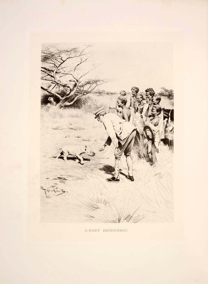 One of the rarest of big-game books and certainly one of the most luxuriously produced.<br />An 1895 safari to Somaliland and then into the Ogaden