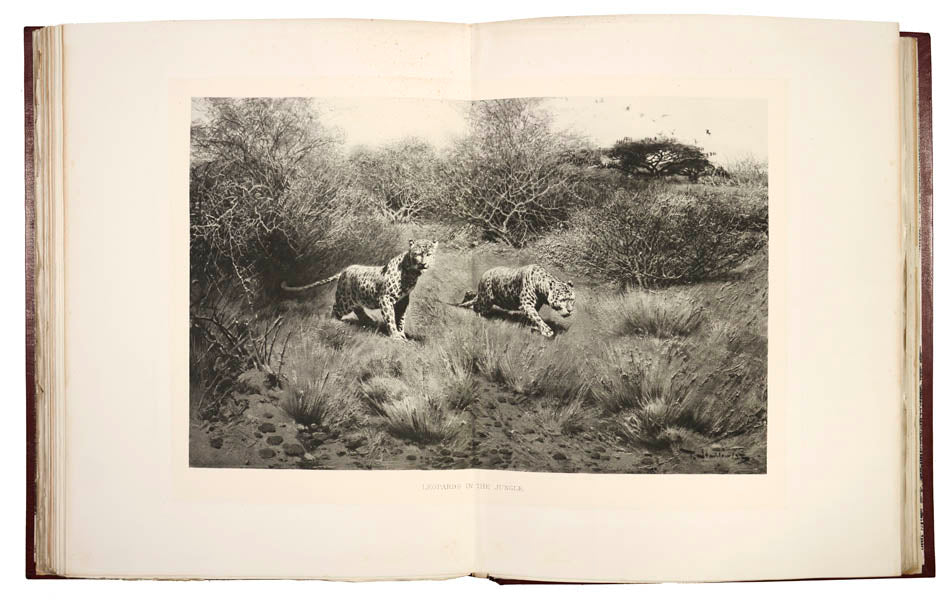 One of the rarest of big-game books and certainly one of the most luxuriously produced.<br />An 1895 safari to Somaliland and then into the Ogaden