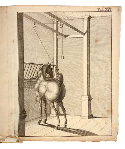 A German horse manual with a Jewish-Jargon dictionary supplement. 'Rare first edition of this original and curious work on horsemanship'.
