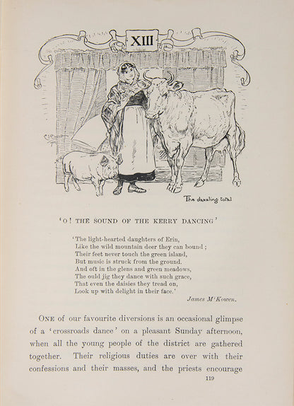 An attractive edition of this charmingly illustrated insight into Irish life in the 19th century.