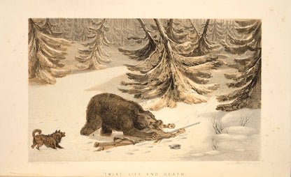 Includes much on bear hunting, trapping, and natural history, as well as having some important content on salmon fishing.