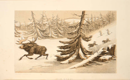 Includes much on bear hunting, trapping, and natural history, as well as having some important content on salmon fishing.