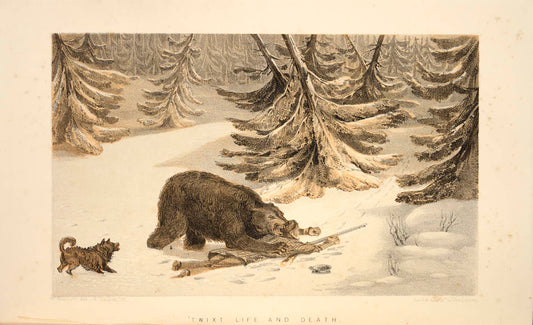 Includes much on bear hunting, trapping, and natural history, as well as having some important content on salmon fishing.